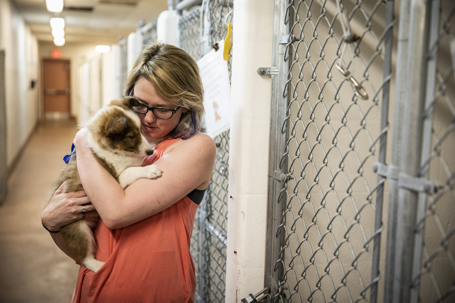 Pet Adoption
